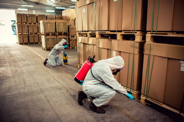 Best Pest Prevention Services  in Taylorsville, UT