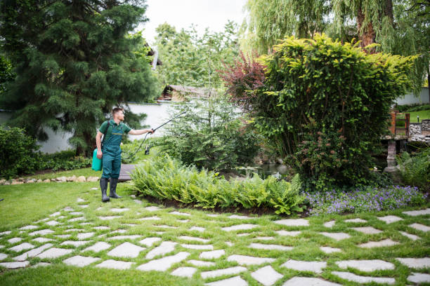 Best Residential Pest Control  in Taylorsville, UT