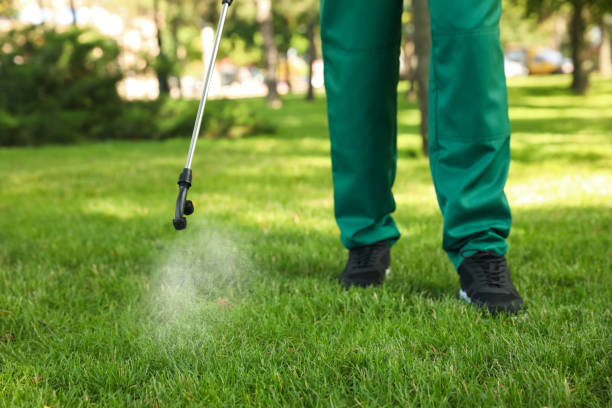 Best Local Pest Control Services  in Taylorsville, UT