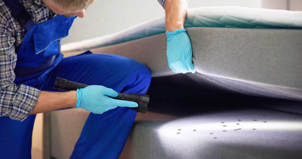 Trusted Taylorsville, UT Pest Control Experts