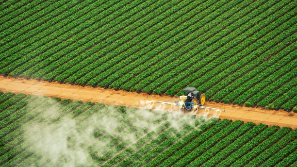 Best Mosquito Control Services  in Taylorsville, UT