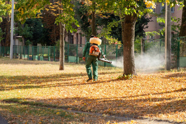 Best Wildlife Control Services  in Taylorsville, UT